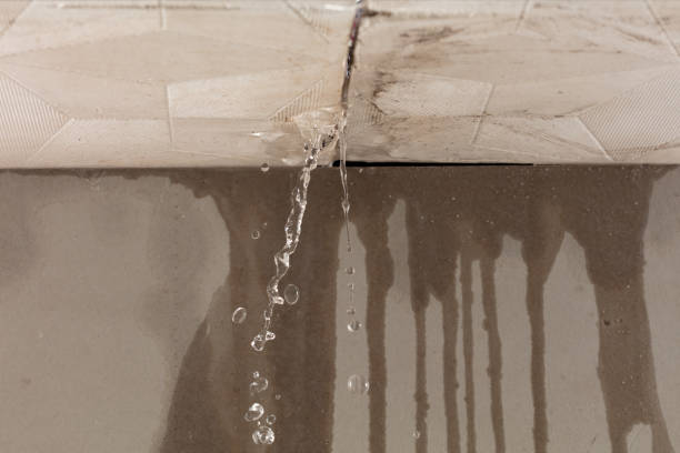 Professional Burst Pipe Cleanup technician working in La Junta, CO